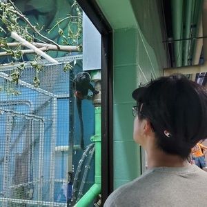 Meet your Posher, Kaiyuan